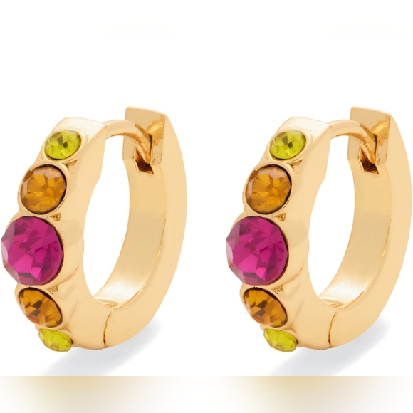 Kurt Geiger Jewelry - Kurt Geiger Gold-Tone Huggie Hoop Earrings In Pink, Blue Or Crystal, NWT In Box